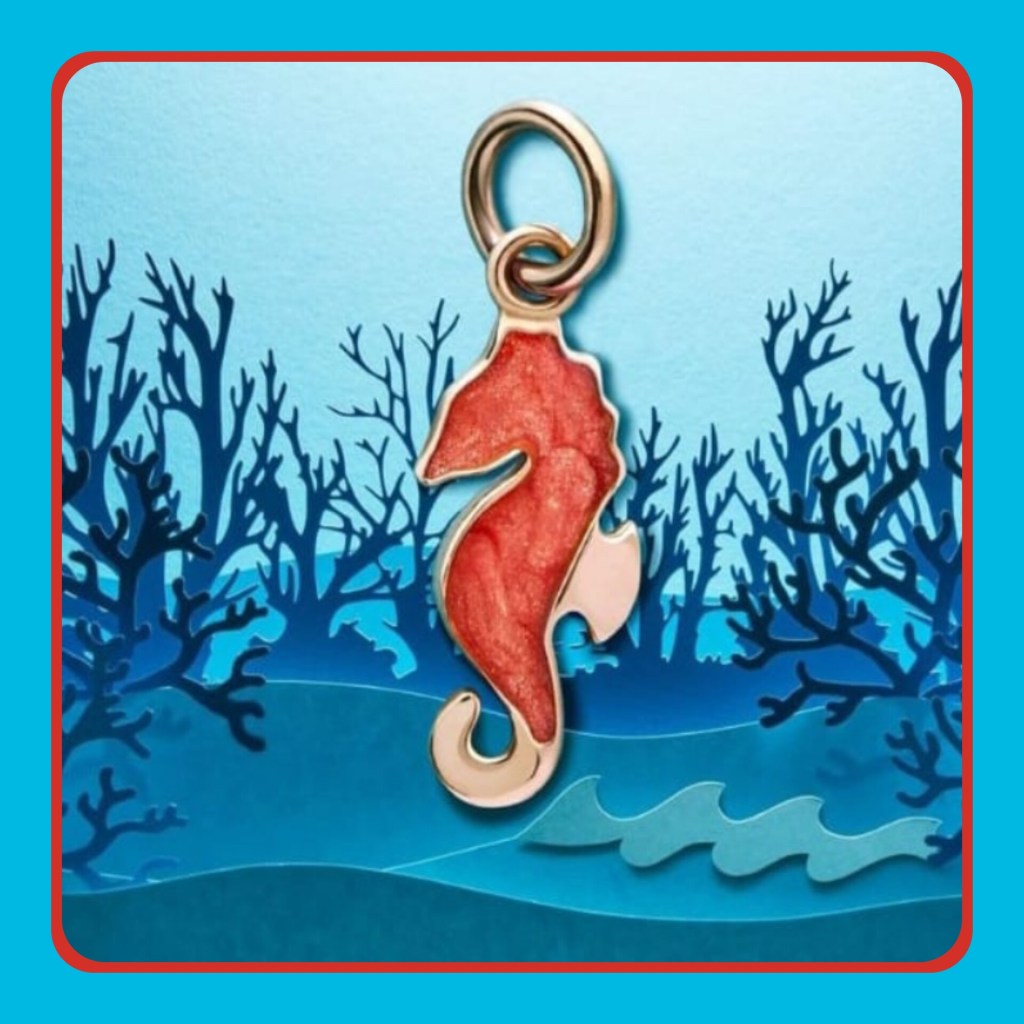 I CHARMS portafortuna