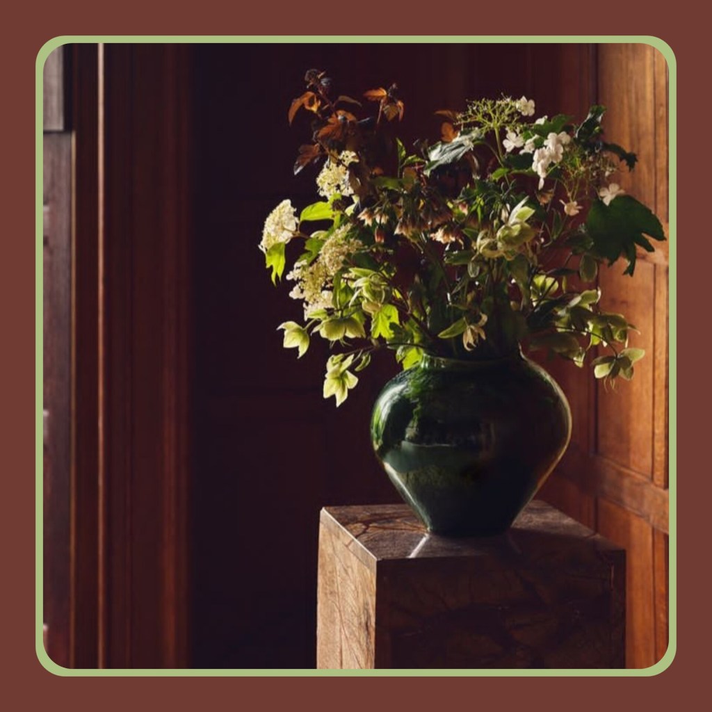 Una casa piena di PIANTE